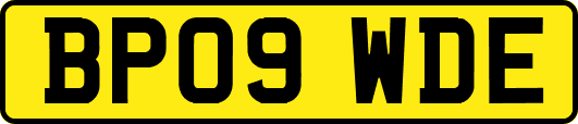 BP09WDE