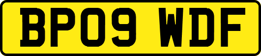 BP09WDF