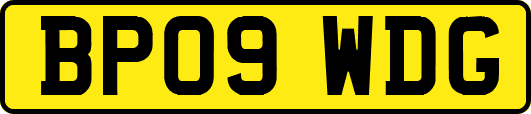 BP09WDG