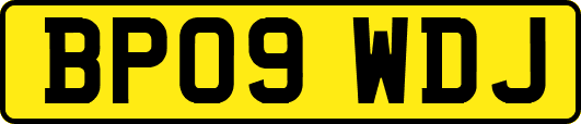 BP09WDJ