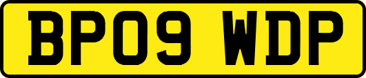 BP09WDP