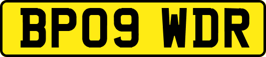 BP09WDR