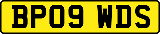 BP09WDS