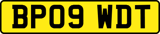 BP09WDT