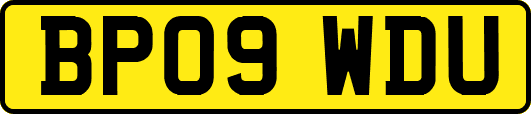 BP09WDU