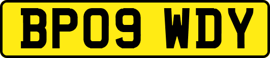 BP09WDY