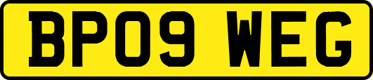 BP09WEG