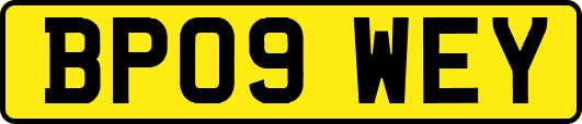 BP09WEY