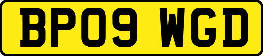 BP09WGD