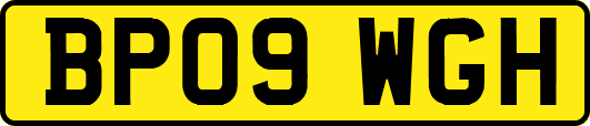 BP09WGH