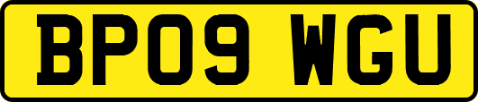 BP09WGU