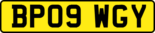 BP09WGY