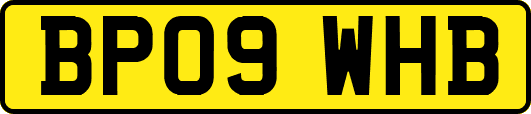 BP09WHB
