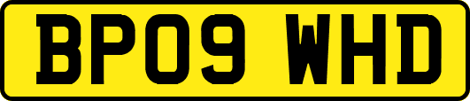 BP09WHD