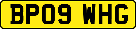 BP09WHG
