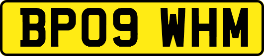 BP09WHM
