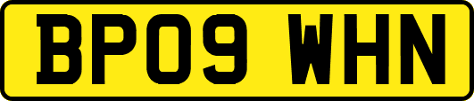 BP09WHN