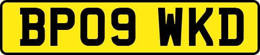 BP09WKD