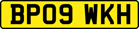 BP09WKH
