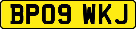 BP09WKJ
