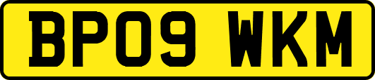 BP09WKM