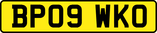 BP09WKO