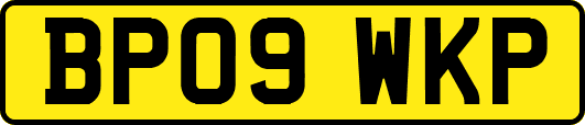 BP09WKP