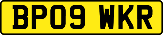 BP09WKR