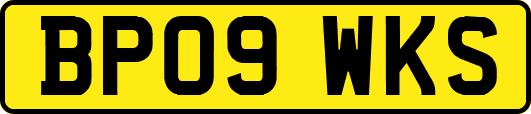 BP09WKS