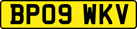 BP09WKV