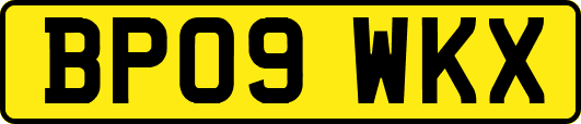 BP09WKX