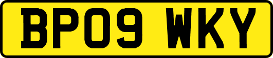 BP09WKY