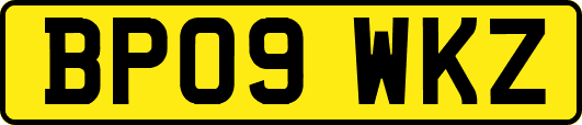 BP09WKZ