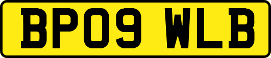 BP09WLB