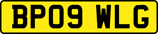 BP09WLG