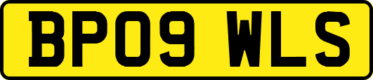 BP09WLS