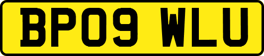BP09WLU