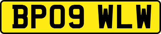 BP09WLW