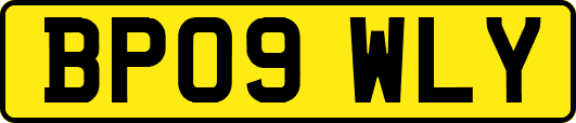 BP09WLY