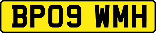 BP09WMH