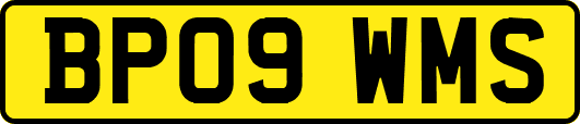 BP09WMS