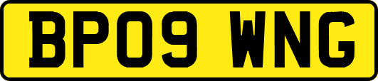 BP09WNG
