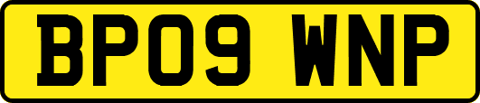 BP09WNP