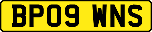 BP09WNS