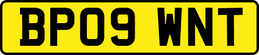 BP09WNT