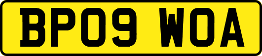 BP09WOA