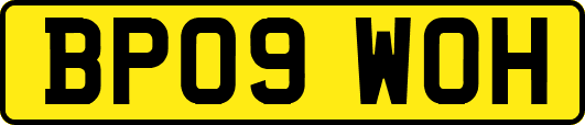 BP09WOH