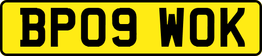 BP09WOK