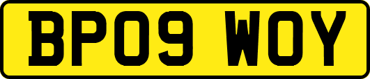 BP09WOY