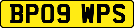 BP09WPS
